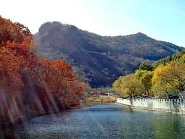 新澳天天开奖资料大全旅游团，绍兴黄页